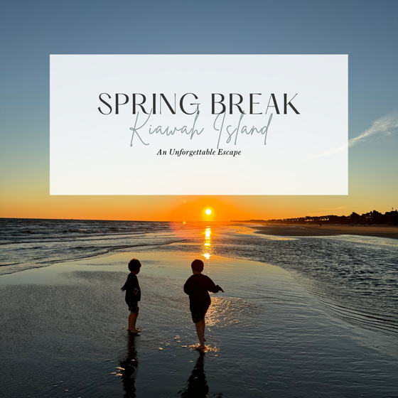 Travel to Kiawah Island: A Coastal Wonderland