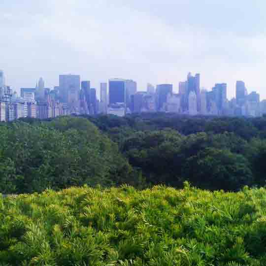 NEW YORK CITY, THE CITY THAT OFFERS IT ALL