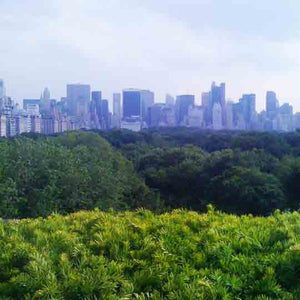 NEW YORK CITY, THE CITY THAT OFFERS IT ALL