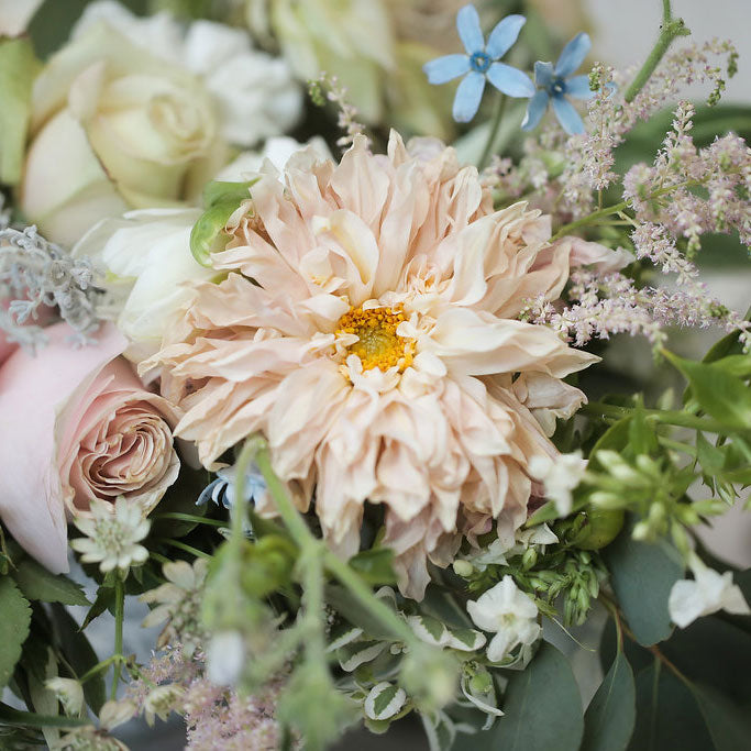 OCTOBER IN GEORGIA: AVERY & AUSTIN