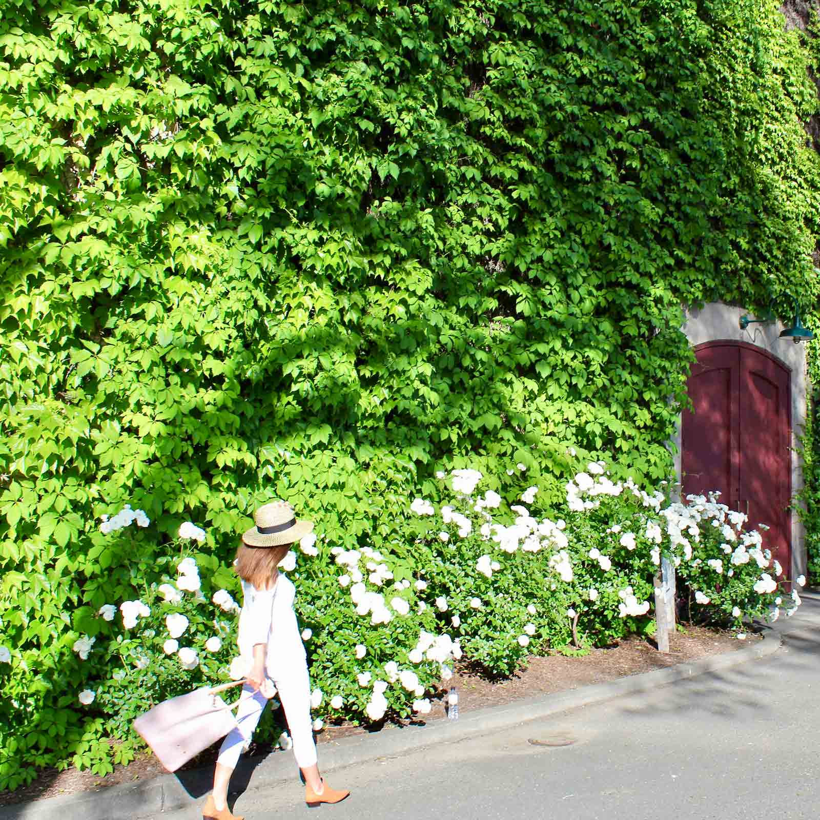 A SIGNATURE WELCOME TO: WINE COUNTRY